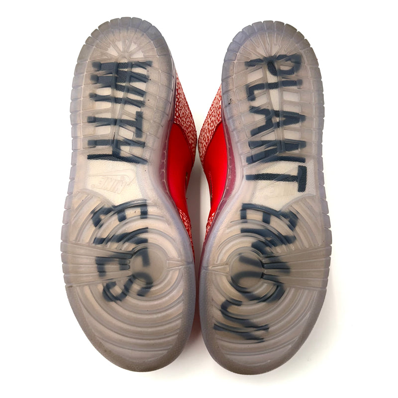 Nike SB Dunk Low 'Stingwater Magic Mushroom'