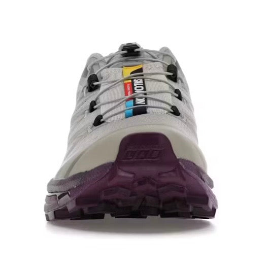 Salomon XT-6 Paloma Winter Bloom