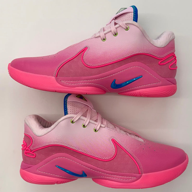 Nike LeBron 22 I Promise