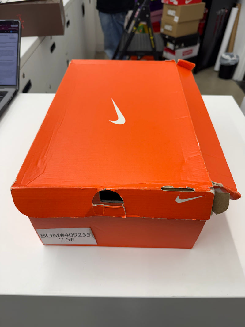 Nike Lebron 10 Low 'Championship Pack' Sample