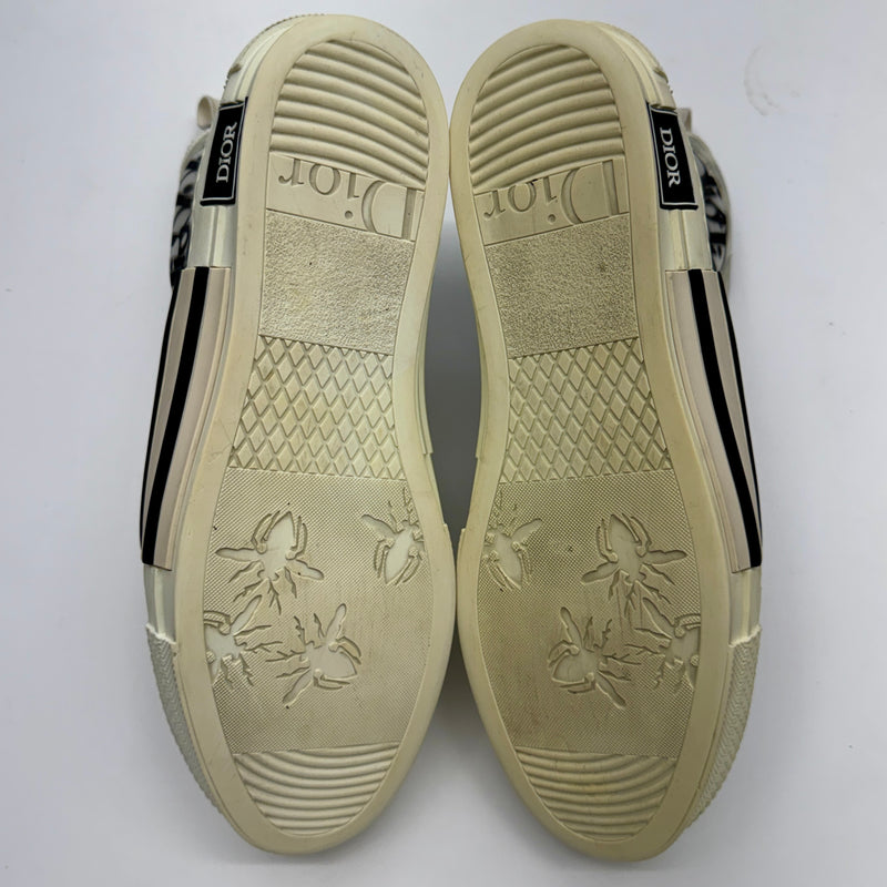 Dior B23 High Top Logo Oblique