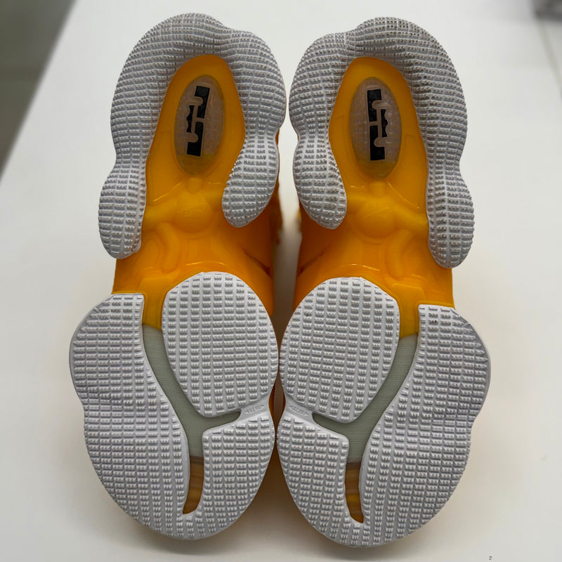 Nike LeBron 19 Hard Hat