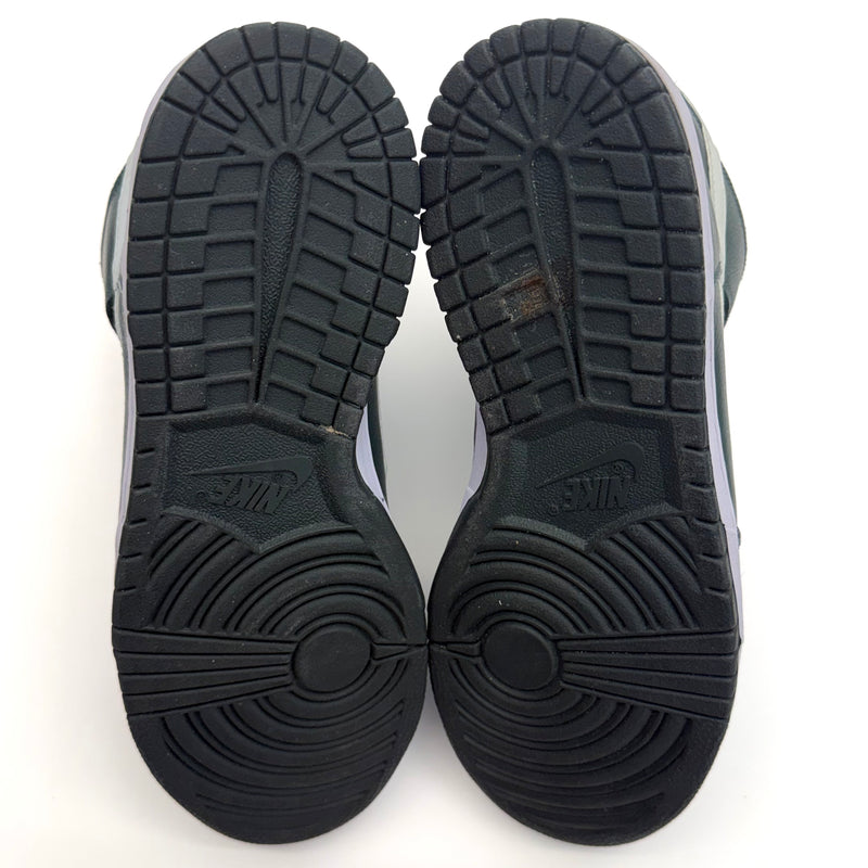 Nike Dunk High Pro SB Ghost