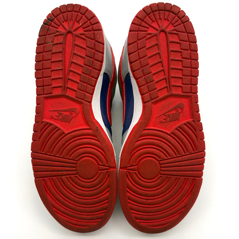 Nike Dunk Low CO.JP Samba (2020)