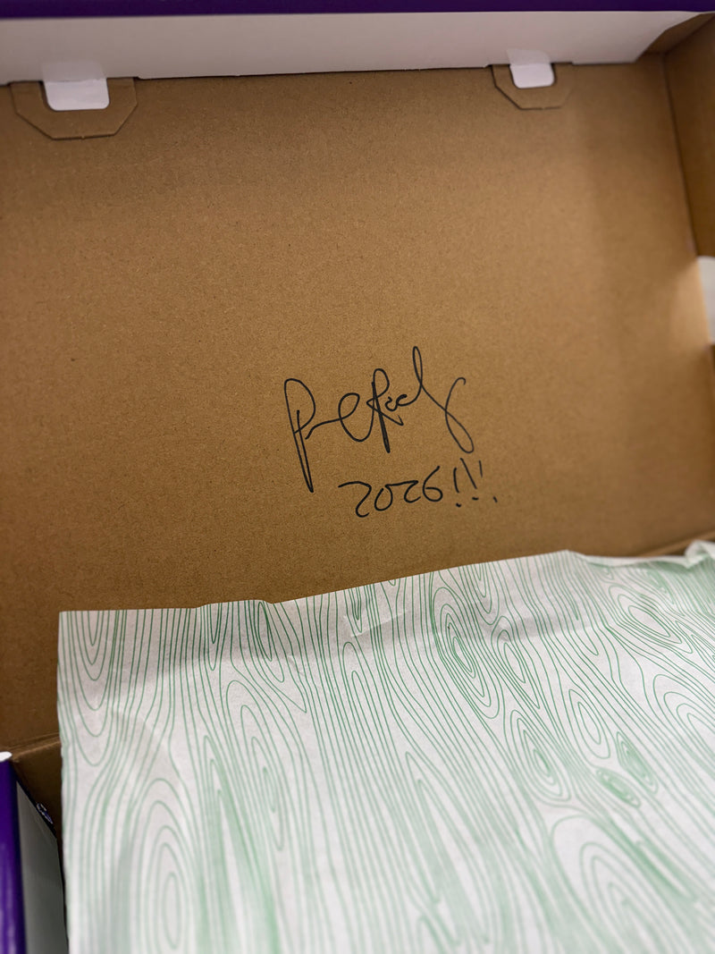 Nike Air Max 95 SB Cacao Wow