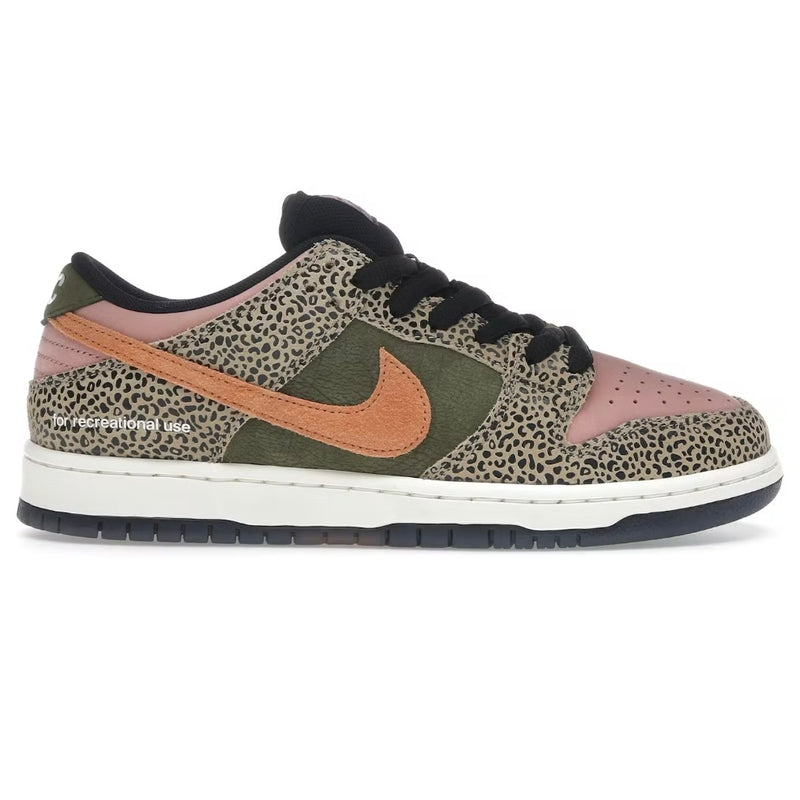Nike SB Dunk Low Arts-Rec