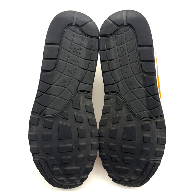 Nike Air Max 1 Curry (2018)