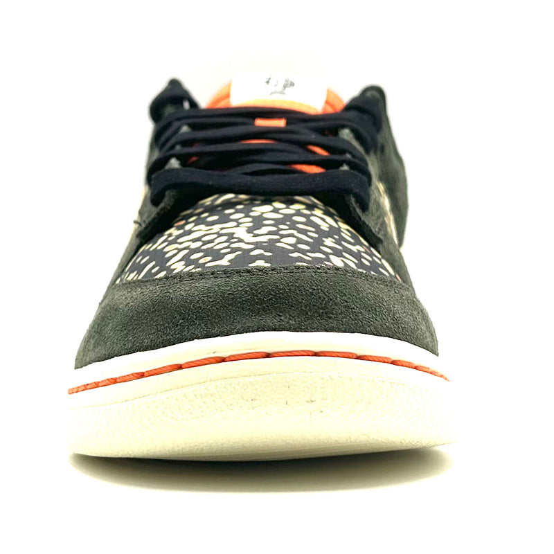 Nike Dunk Low SE Gone Fishing Rainbow Trout